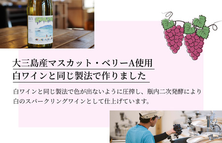 島白スパークリング【V003320】