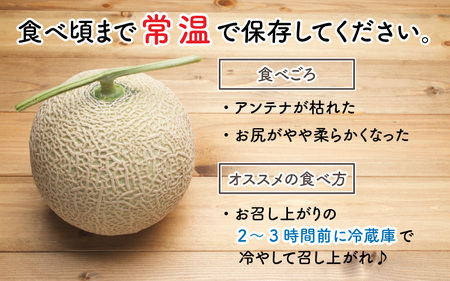 【先行予約】太陽サンサン砂丘地 三里浜のアールスメロン5玉（1玉あたり約1.7～2.0kg）【2026年9月上旬以降順次発送予定】 [B-8301]