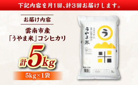 【全3回定期便】うやま米コシヒカリ 5kg [AIDB077] 米 定期便