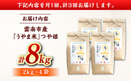 【全3回定期便】うやま米 つや姫 8kg（2kg×4）[AIDB090] 米 定期便