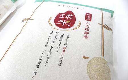 FKP9-680 【令和7年度産】人吉球磨産白米 ひのひかり 10kg 新米 白米 精米 ふっくら 国産米 おすすめ 農家