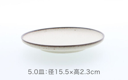 【美濃焼】クレタ 切立リム型 8.0型 2点 ＆ 5.0皿 2点 合計4点セット　【カネ定製陶】 プレート セット うつわ[MEI165]
