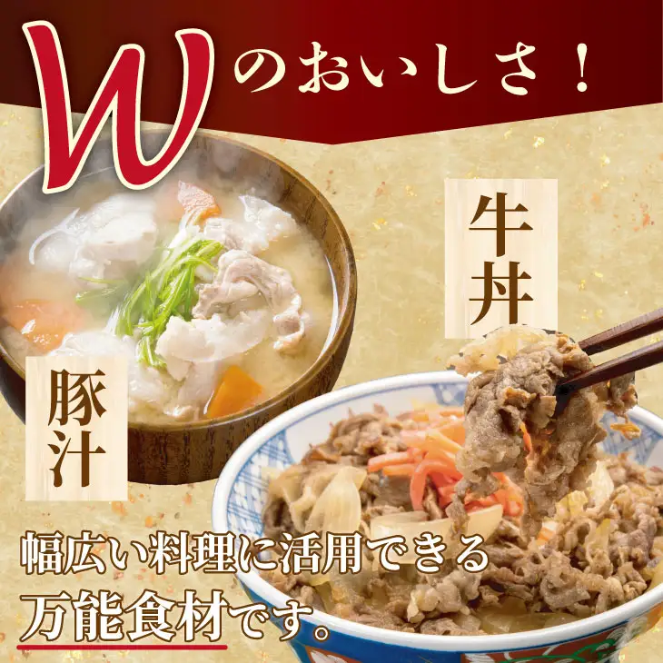 佐賀牛と肥前さくらポーク こま切れセット 600g こま切れ B100-030 
