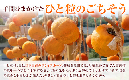 【先行予約】昔ながらの 干し柿 16個 柿 果物 フルーツ かき 高瀬柿 御船藤農園《2026年11月中旬-2027年1月中旬頃出荷》熊本県 御船町 ドライフルーツ 甘味 くだもの 和菓子 熊本県産 おやつ スイーツ