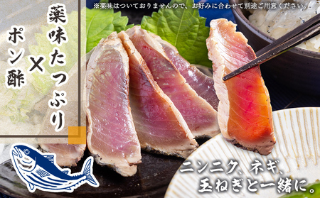 本場高知の鰹のたたき スライス（100g×5袋） - 国産 タタキ 濃厚な美味しさ 香ばしさ 旨みを凝縮 食べやすい カツオ かつお 小分けパック 海鮮 新鮮 そのまま 魚介 産地直送 竜馬 龍馬の海鮮隊 野島水産 高知県 香南市 冷凍 nz-0017
