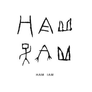 [HAM IAM]【数量限定】オオルリロートアイアンメタルハンガー　てつ(ブラック)　oneサイズ