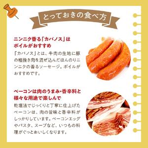 【3か月定期便】国際コンクール金賞受賞 ハム・ソーセージなど店主おまかせスペシャルセット | ソーセージ ハム 定期便