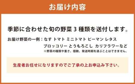 A322 アッキーファームの旬の野菜詰合せ福袋 （野菜3種） 詰め合わせ セット 季節 旬 お楽しみ 野菜 やさい なす トマト ミニトマト ピーマン ブロッコリー とうもろこし レタス カリフラワー 冷蔵 福岡県産 国産 福岡県 みやま市