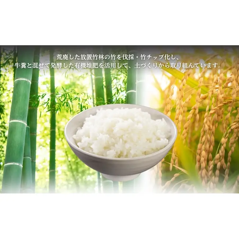【コシヒカリ】【京都】令和8年産 有機堆肥栽培米 こしひかり 摩氣米 10kg | お米 米 コメ 精米 白米