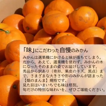 【発送月固定定期便】みかん好きに食べてほしい!旬を味わう、おいしい3種のみかん定期便　各5kg全3回【配送不可地域：離島・北海道・沖縄県】【4076072】