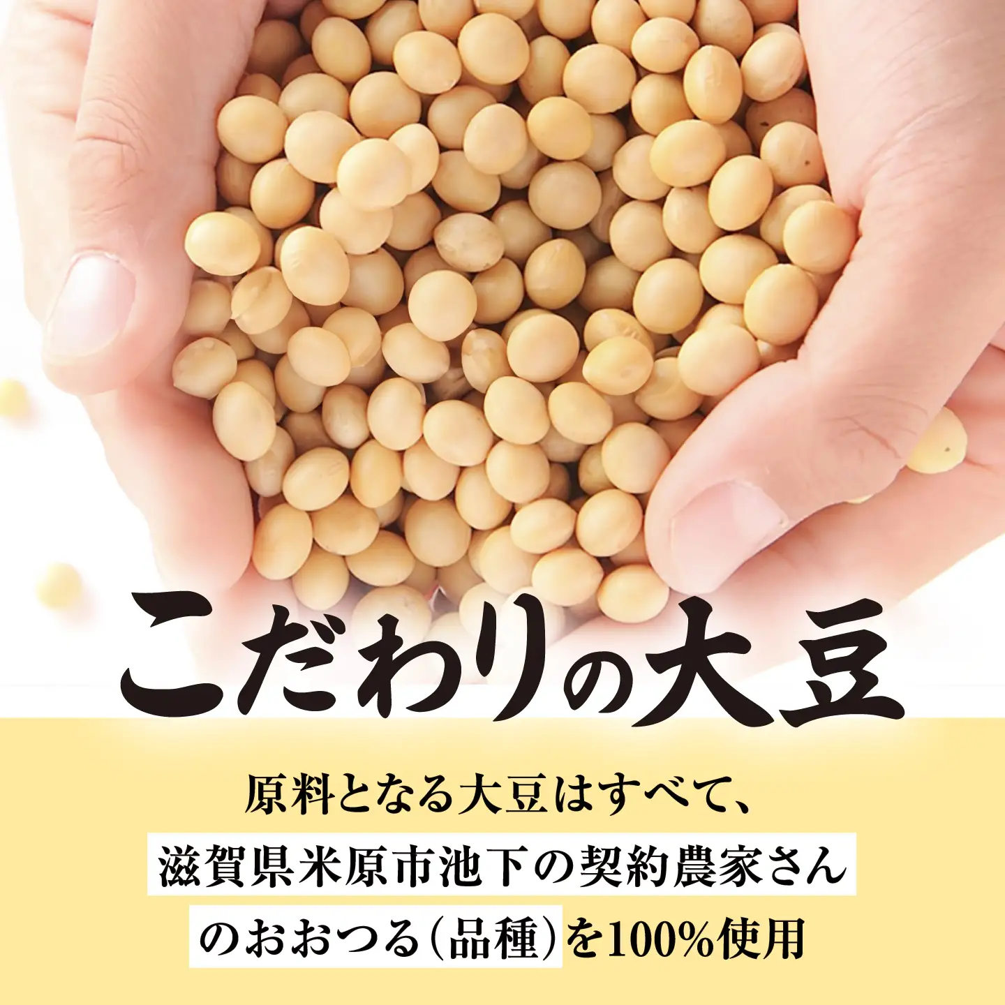 【全3回定期便】旨とろ生ゆば2個パック[AQBK034]ゆば