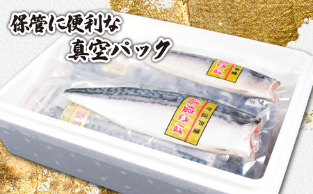 【 スピード配送 】 お試しセット 適塩さば 真空 個包装 12枚 適塩 昆布 純米酒