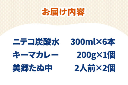 ニテコ炭酸水6本とたぬ中・キーマカレーのセット 炭酸飲料 カレー キーマカレー レトルト 中華麺