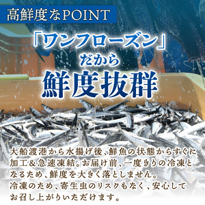 さんま 刺身 1kg 冷凍 大船渡 ＼ さんま ／