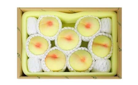 井頭栄果園 白桃 約2kg 【2026年7月上旬～8月上旬まで順次発送予定】【もも 桃 白桃 果物 フルーツ 国産 人気 おすすめ 岡山県 倉敷市】