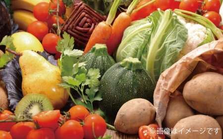 【令和7年度産】 熊本県（七城）産のお米と熊本県産の野菜ときのこ お米（2kg）・野菜＆きのこ（7～8品） 精米 単一原料米 ひのひかり   ジャガイモ ニンジン シイタケ 【2025年11月上旬発送開始】