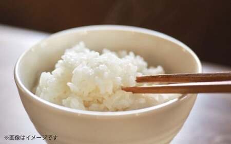 【令和7年度産】 熊本県産のお米5kg くまさんの輝き 精米 単一原料米 お米 米  【2025年11月上旬発送開始】