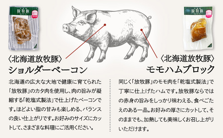 「北海道放牧豚ショルダーベーコンとモモハムブロック」とトモヱベーグル「北の麦輪」18個セット【C99032】