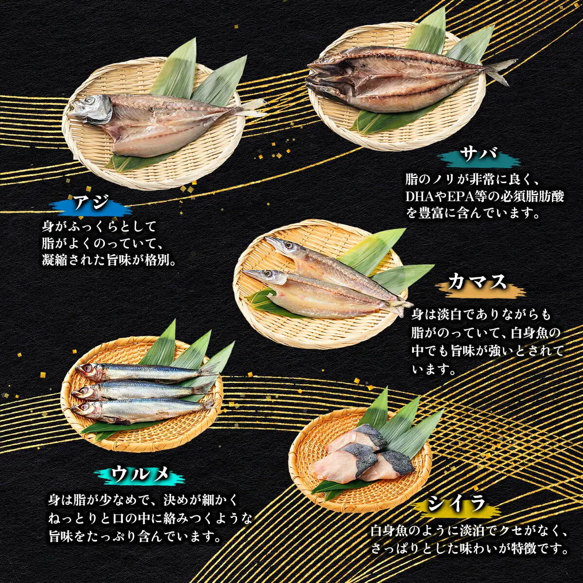 海駅製作所 干物詰め合わせ お任せ3種以上 500g【MT014-1】