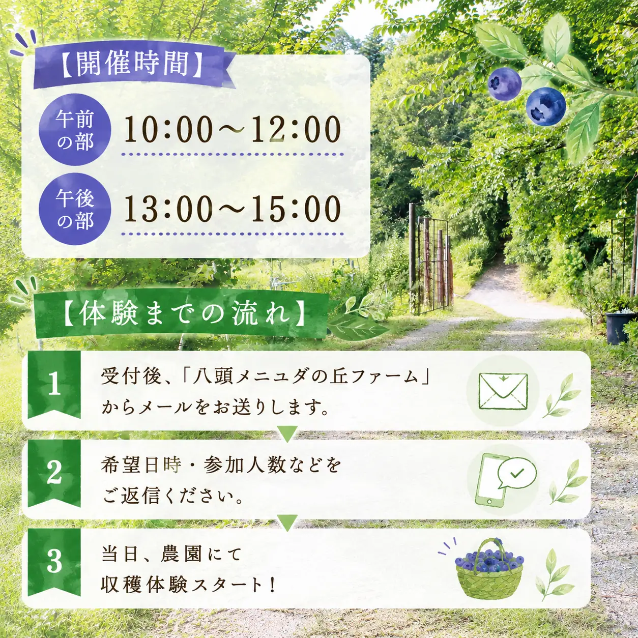 Y1058 丘の上の有機JASブルーベリー農園で1日1組限定（5名様まで）の収穫体験