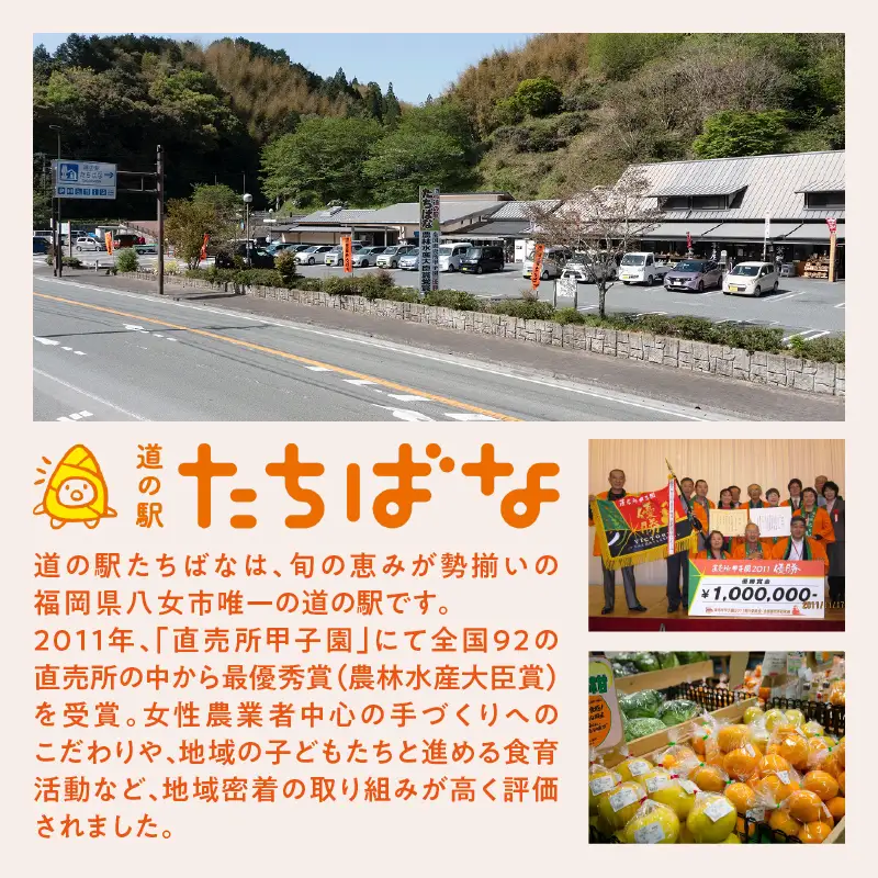 ＜道の駅たちばなオリジナル＞みかん5kg詰合せ（2026年10月上旬より発送開始） みかん ミカン オレンジ くだもの 果物 フルーツ デザート 極早生 早生 甘い 福岡県 八女市 054-015
