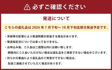 シャインマスカット 約1.5kg（2～3房）【2026年7月下旬～10月下旬迄順次発送予定】果物 フルーツ マスカット ブドウ 葡萄