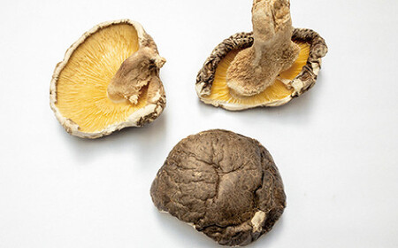 大分県産 旨味椎茸未選別 お徳用 630g（90g×7袋）（乾しいたけ）