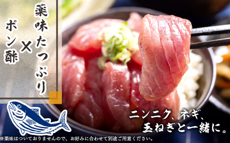 【刺身】 刺身スライス（100g×2袋） カツオ nz-0031