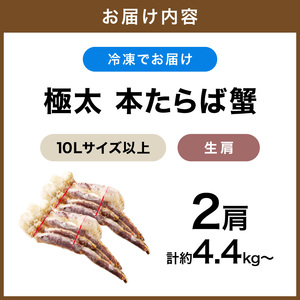 【2肩約4.4kgの10Lサイズ以上】一番人気！ 本たらば蟹 生肩 約4.4kg～【ふるさと納税3.0】【087A-009】
