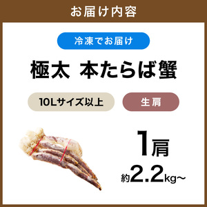【1肩約2.2kgの10Lサイズ以上】本たらば蟹 生肩 約2.2kg～【ふるさと納税3.0】【087B-051】