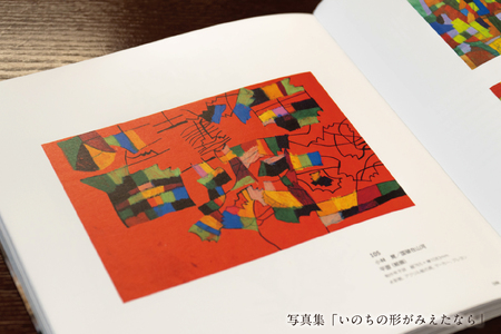 るんびにい美術館写真集「いのちの形がみえたなら」小林覚の「オリジナル・アート色紙」【2310】