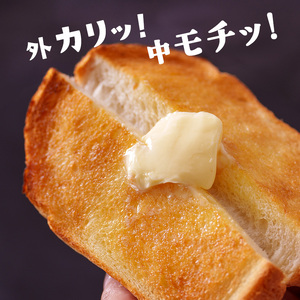 アラジン グラファイト トースター 1枚焼き ホワイト 白 Aladdin アラジントースター グラファイトトースター AET-G8A(W) 調理家電 キッチン家電 家電 お手入れ簡単 コンパクト おしゃれ 新生活 一人暮らし