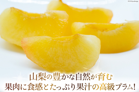 貴陽 (大玉) [株式会社えべし 山梨県 中央市 21470728] 果物 くだもの スモモ すもも プラム 李 もも 山梨県産 期間限定 季節限定 冷蔵 【2026年7月上旬-8月上旬発送予定】