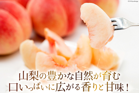 山梨県産 桃 約 3kg [株式会社えべし 山梨県 中央市 21470559] もも モモ フルーツ 果物 くだもの 3キロ 産地直送 季節限定 期間限定 冷蔵 【2026年6月下旬-8月下旬発送予定】