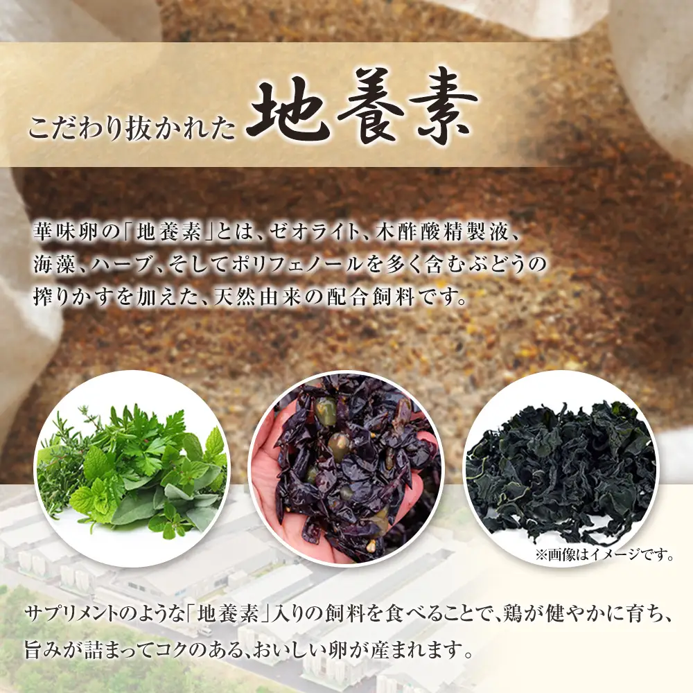 『定期便』全6回 たまご 華味卵 60個（50個＋割れ補償10個）毎月届く定期便 ちよだファームの華味卵 はなみらん_FR109_001s6