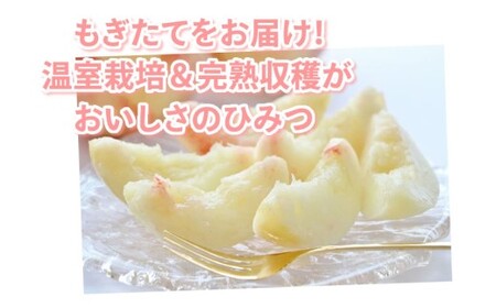 桃 はなよめ 秀品 約900g 6-10玉入り お取り寄せ クール便でお届け 温室桃 熊本植木産 千代姫 日川白凰 白凰 もも ピーチ フルーツ 冷蔵 【2026年5月下旬～6月下旬迄順次発送予定】
