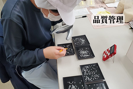 岩手県産ひとめぼれ　10kg（5kg×2袋） 【2261】
