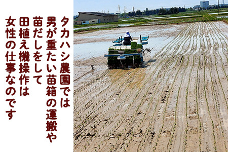 【令和7年産】【厳選プレミアム極】白米 銀河のしずく米 5kg　【2228】