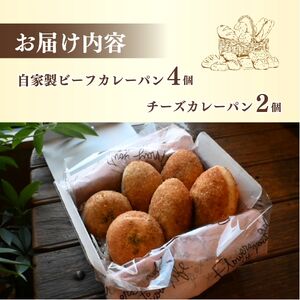 カレーパン 2種6個セット カレーパン