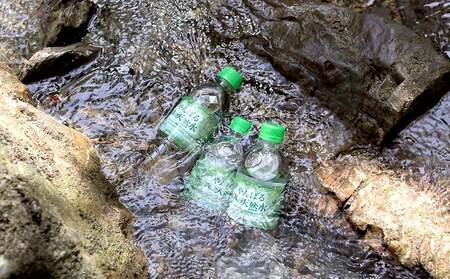 定期便12回 東村の軟水【やんばる 森の天然水】　500ml×24本