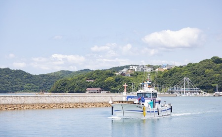 しらす干し 食べきり 小分けパック 大容量 お徳用 35g×20袋 700g 瀬戸内海産 【しらす しらす干し 釜揚げ 太白ちりめん ちりめんじゃこ 牛窓しらす しらす丼 ごはん ごはんのお供 食べ切り  小分け 岡山県 瀬戸内市 牛窓  服部水産】