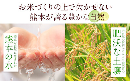 【6回隔月定期便】【2ヶ月に1回届く】熊本ふるさと無洗米 20kg 訳あり 米 コメ こめ 熊本県産 米 ふるさと納税 わけあり 以上のお米ならこれ お米 おこめ 熊本 むせんまい kome musennmai 定期便《お申込み翌月から出荷》