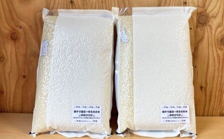 【令和7年産】 ななつぼし （白米） 真空パック 5kg×2袋 10kg 北海道 鷹栖町 たかすタロファーム 米 コメ こめ ご飯 白米 お米 ななつぼし コメ白米