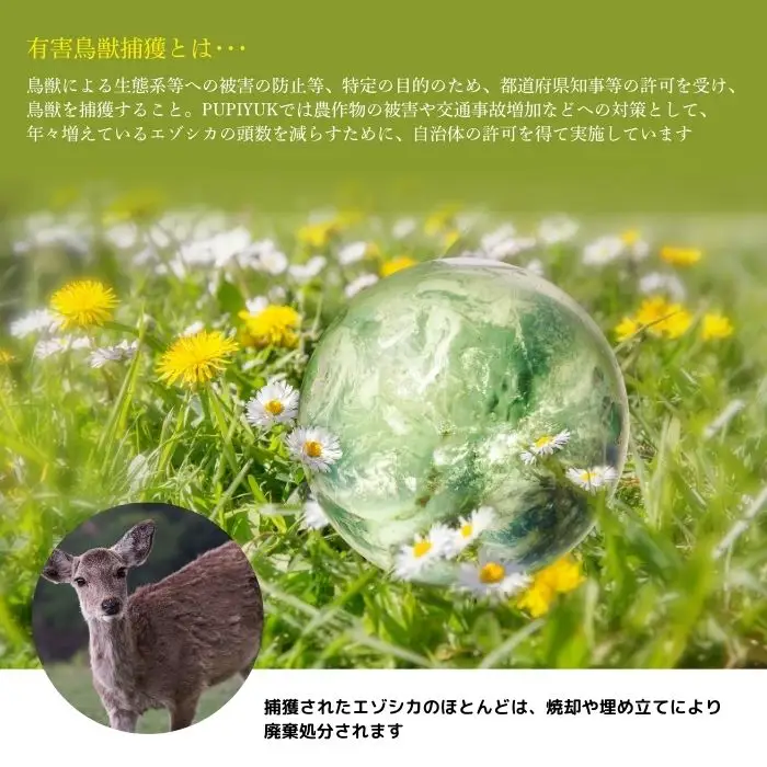 エゾ鹿肉 フランクフルト 2本入（150g×20袋）【PIPIYUK】ジビエ 鹿肉 鹿 蝦夷鹿 シカ おやつ おつまみ スパイシー 干し肉 北海道 比布町 ぴっぷ 1023-020