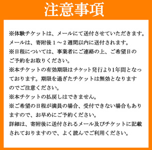 藍染 体験 ストール 伝統 技術 工芸 徳島県 三好市 観光 Aoみっつの夢 【 藍染 】