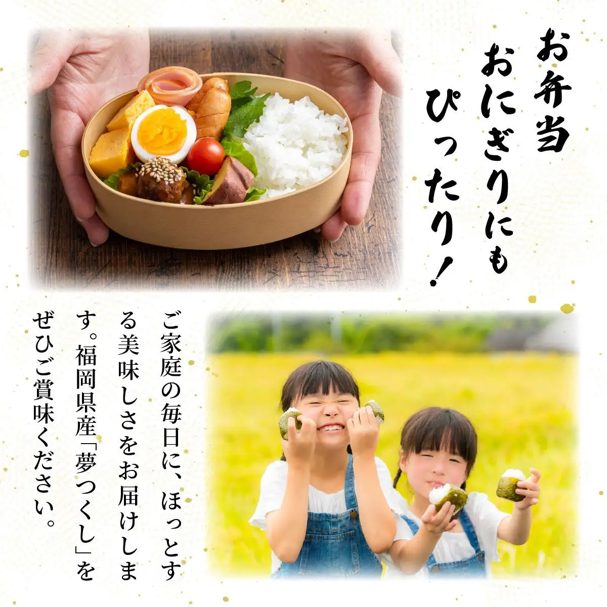 【令和7年産】福岡県産夢つくし5kg