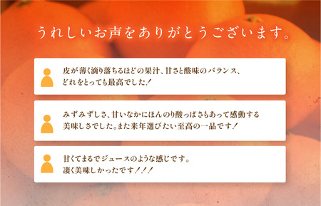 【先行予約】マルハ果樹園 プレミアムまどんな（家庭用）2L～M 12～16玉