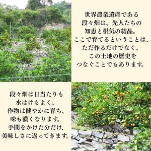  有田 みかん 秀品 サイズ混合 5kg / 有田みかん 温州みかん 甘い 秀品 和歌山 柑橘 5kg ※2026年10月上旬～2027年2月上旬に順次発送【krt004-p-5】