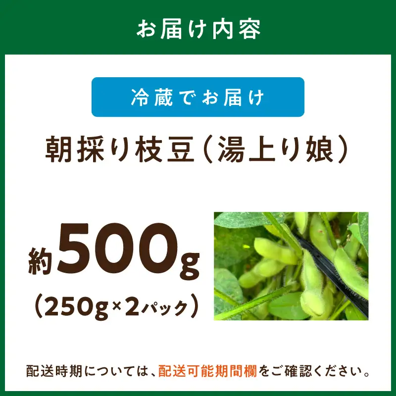 【先行予約／数量限定40】朝採り枝豆（湯上り娘）500g（2026年7月上旬～発送） 枝豆
