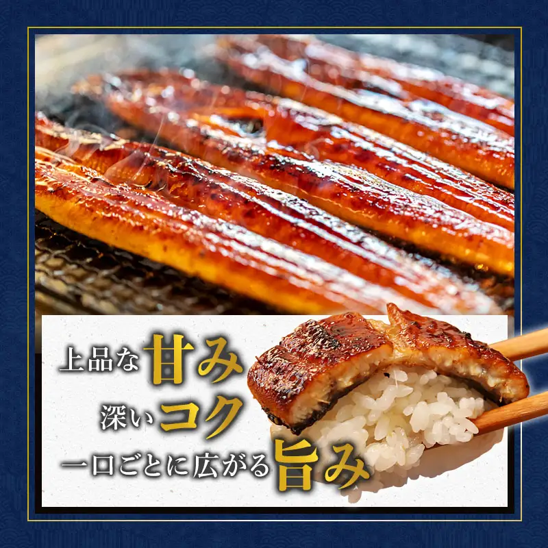 浜名湖産 うなぎ蒲焼き 特製タレ付き 2尾
